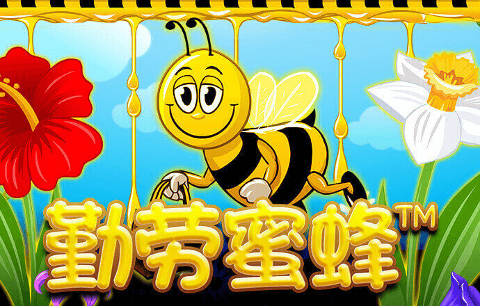 163am银河登录